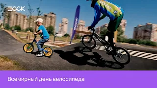 Всемирный день велосипеда