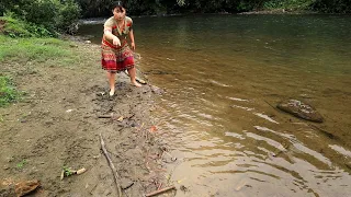 Primitive life: Girl digs crack catch big fish - Survival in wild off grid living
