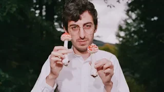 Hamilton Morris Is Changing the Way We Talk About Drugs