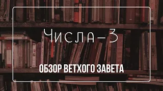 Книга Числа - 3 | Семинар Обзор ВЗ часть 13 | Прокопенко Алексей