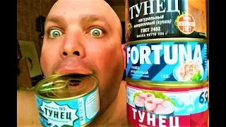 MUKBANG | ТУНЕЦ консервированный | Обзор консервированного тунца