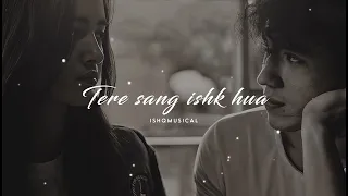 Tere Sang Ishq Hua Song | Arijit Singh | New Song Status Video | Love Sad Song Status | @ishqmusical