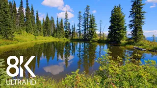 8 HOURS of Birds' Songs and Calming Water Sounds - Relaxing Ambiance of a Mountain Lake 8K Video