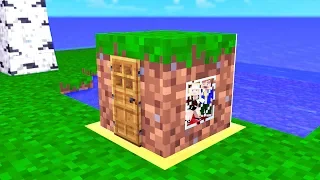 MINI MINECRAFT HAUS IN EINEM DIRT BLOCK!