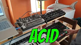 Acid dawless jamming. Roland TR8s. Behringer TD-3.