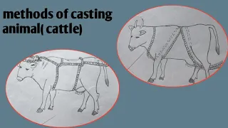 method of casting ( Reuffs  method)