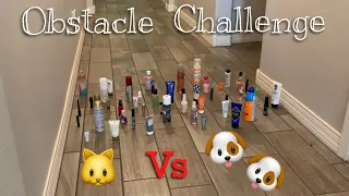 Obstacle Challenge| Cat VS Dogs