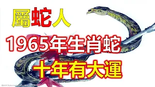 十二生肖，1965年蛇十年大運運程，下一個蛇年是2025年，屬蛇人在59歲期間會進入到2024年，運勢發展的很平穩，屬蛇人需要仔細瞭解清楚自己的運勢發展狀況，1965年蛇59歲後十年大運運程是怎樣的呢