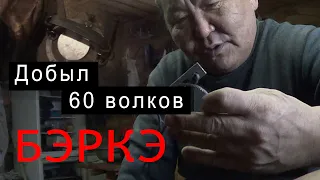 Волчатник из Якутии. Добыто 60 волков.