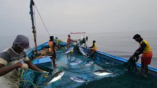 முதல் நாள் கடலில் வலைவிட்டு மீன்களும் பிடிச்சாச்சி!!!|1st Day|Deep Sea Fishing|S02-Ep05