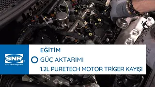 EĞİTİM: 1.2L Puretech motorda triger kayışı nasıl değiştirilir ?