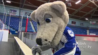 A day in the life of Howler - Sudbury Wolves