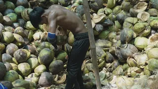 unusual way of processing coconut, breaking a coconut-Thai Street Food