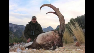 Khalid Bezoar Ibex Hunt