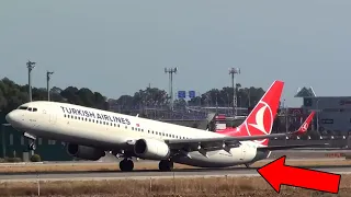 TAIL STRIKES Caught On Camera