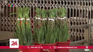 TP. Hồ Chí Minh mở cửa chợ hoa Đầm Sen giúp tiêu thụ hoa Đà Lạt | VTV24