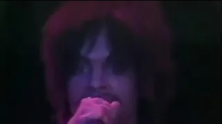 Prince Live@ The Ritz New York 22/03/1981..