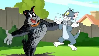 TOM AND JERRY   THE FAST  AND THE  FURRY 2005