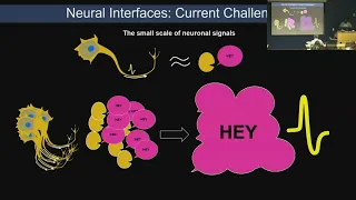 Developing Optogenetic Neuronal Networks for Circuit Modeling & Biological Neural Interfaces