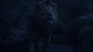 Reflections of Mufasa | The Lion King (2019)