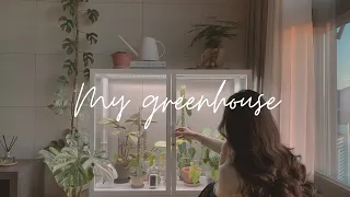 Peaceful Plant Tour – Indoor Houseplant Collection 🌱