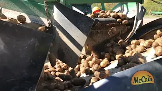 2019 Potato Harvest