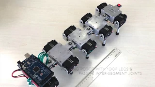 A Walking Robot with 1 DOF Legs and Passive Inter-segment Joints