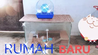 RUMAH BARU UNTUK 2 HAMSTER IMUT & LUCU - semua dari bahan bekas