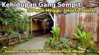 Kehidupan Di Gang Sempit di Samping Pasar Minggu, Jakarta Selatan