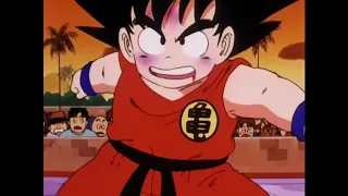 Goku VS Master Roshi (FIRST FIGHT)