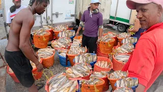 BIGGEST FISH MARKET Shopping in GUYANA