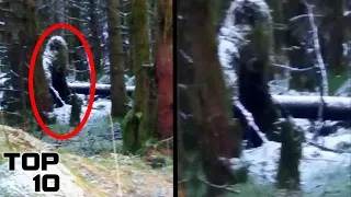 Top 10 Concerning Bigfoot Evidence The Government Is Hiding From Us - Part 4