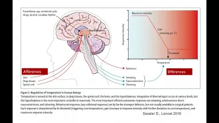 thermoregulation Dr BENBERNOU