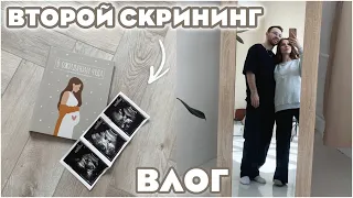 ВТОРОЙ СКРИНИНГ 🤰🏽ЧТО СКАЗАЛ УЗИСТ! ВТОРОЙ ТРИМЕСТР БЕРЕМЕННОСТИ 💛 МАКСУ ПЛОХО  💛  БЕРЕМЕННЫЕ БУДНИ