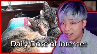 bdn Watches #138: Daily Dose of Internet