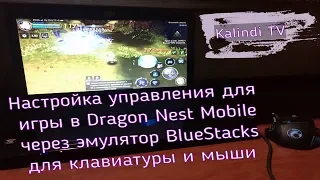 Dragon Nest Mobile настройка управления под клавиатуру и мышь (эмулятор Android bluestacks)