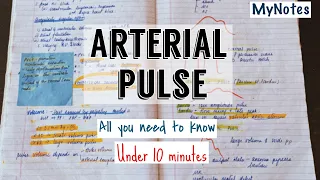 Arterial pulse | ridiculously easy | MyNotes