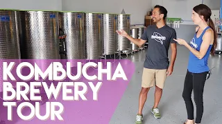Kombucha Brewery Tour - How Kombucha is Made