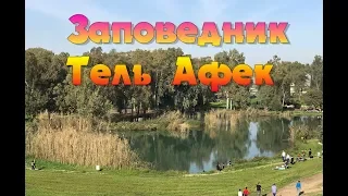 Национальний парк Тель Афек.Антипатрида. Петах Тиква. Израиль.