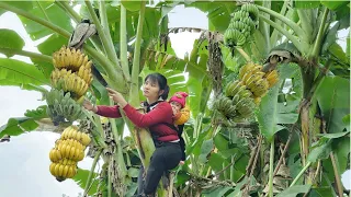 90 days - Girl becomes a mother at age 25 - Harvesting bananas, potatoes, cabbage - help orphan boys