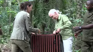 Dr. Goodall Pays Visit to Island Sanctuary Expansion – Joins in Release of Ulengue