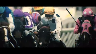 [HKIR 2022] A Story of Humans and Horses