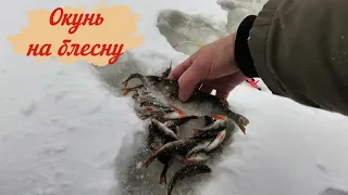 Зимняя рыбалка 2021 на окуня на блесну