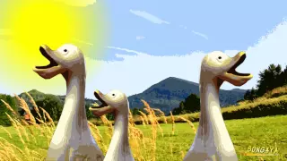 Duck Army Melody Song (La danse des canards / Kaczuchy)