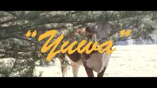 Fishing - Yuwa (Official Video)