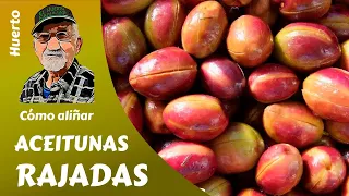 𝗔𝗖𝗘𝗜𝗧𝗨𝗡𝗔𝗦: CÓMO ALIÑAR LAS OLIVAS RAJADAS, MORADAS O VERDES. How to ripen olives, stored or green