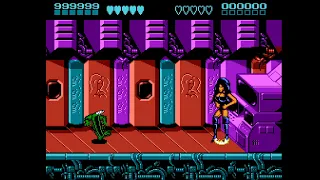 Battletoads & Double Dragon - All Bosses (Rash) (No Damage) (NES/FC) (4K)