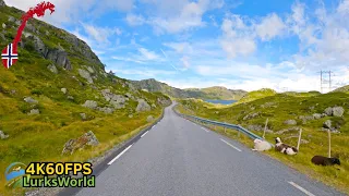 Driving in Norway -  Suleskard To Nomeland, Suleskarvegen  - 4K60 Road Trip