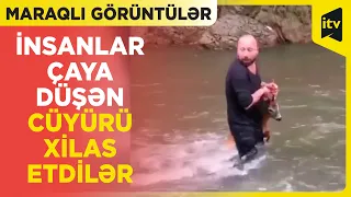 Çaya düşən cüyürü kənd sakinləri xilas etdi - Şərhsiz, Türkiyə