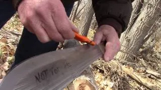 Most Amazing Knife Video cut down tree and stays Sharp!